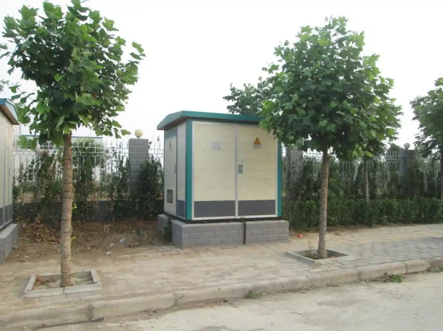 三穗1000KVA欧式箱式变压器